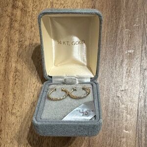 Elegant Gold Hoop Earrings